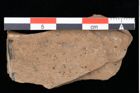 Foto (Detailansicht) von Chana parschlugiana Ettingshausen (NHMW-GEO-2024-0188-0104)